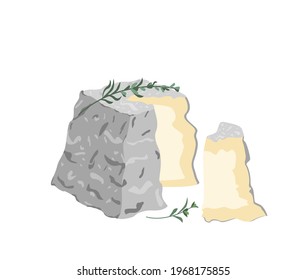 Gourmet French Valencay cheese with blue,white moldy rind, wrinkled crust.Cut piece of delicious soft chees with mold.Colored flat vector illustration of delicatessen food isolated on white background