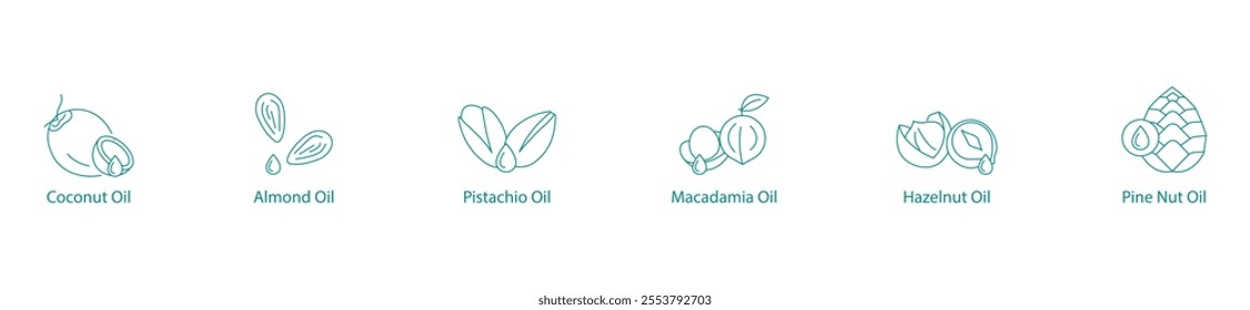 Gourmet Nut Oils Vector Icon Set: Coconut, Almond, Pistachio, Macadamia, Hazelnut, Pine Nut