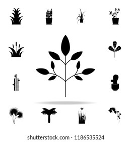 goutweed icon. Plants icons universal set for web and mobile