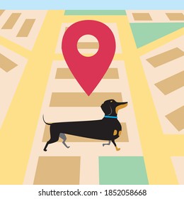 Collar GPS, ubicación del perro. Ilustración de material vectorial plano. Rastrea tu mascota por collar con geolocalización. Concepto de tecnología GPS para la seguridad animal. Ilustración con collar GPS