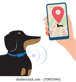 GPS collar on a dachshund and a smartphone in hand for monitoring the location of a dog on a map isolated on a white background. Stock vector flat illustration with a pet as a collar concept for track