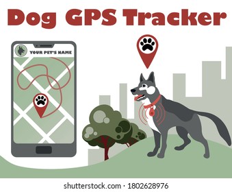 Gps control tracker for walking dog. Pet tracking application. Smartphone with city map and navigation pins show pet movement. GPS tracking app. Trackng system technology.