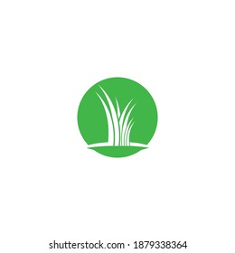 Graas Logo Template vector symbol nature