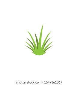 Graas Vector Illustration design Logo template