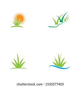 Graas Vector Illustration design Logo template