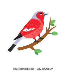 Grab this flat vector asset of a colorful chaffinch bird.