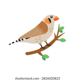 Grab this flat vector asset of zebra finch for premium use.