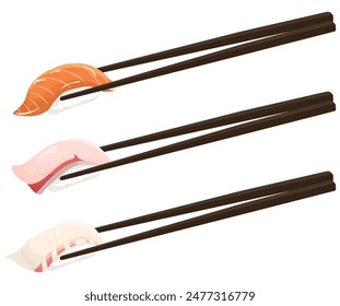 Grabbing sushi with chopsticks. Salmon, Hamachi, Sea Bream Vector illustration.