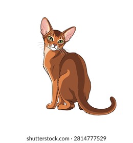 Graceful Abyssinian Cat Illustration Isolated on White Background, Vector Portrait of a Purebred Pet