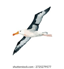 Aves marinas de albatros elegantes que se elevan por el cielo, perfectas para la naturaleza, los viajes y los diseños de vida silvestre. Arte vectorial aislado.