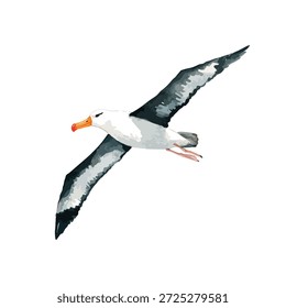 Elegante Ilustración vectorial de albatros en vuelo, perfecta para el diseño de vida silvestre, temas de naturaleza o proyectos de viajes. Majestuoso pájaro marino que se eleva.