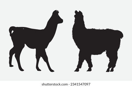 Graceful Alpaca Silhouettes, A Collection of Delightful Alpaca Vector Art for Creative Projects