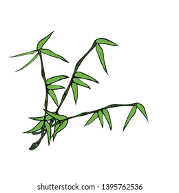 Graceful bamboo branches. Vector illustration.