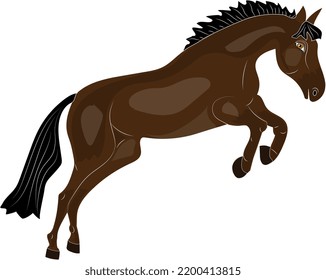 A graceful and beautiful horse overcomes an obstacle