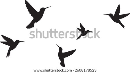 Graceful Bird Soaring Across a Clear Blue Sky

Silhouette of a Bird in Flight Against the Sunset

Wild Bird Flying Freely in the Open Sky