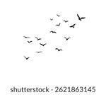 A graceful bird soaring high in the sky, wings spread wide, gliding effortlessly through the clouds.
