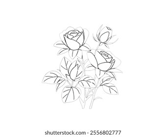 A graceful black-and-white line drawing of blooming roses with detailed petals and leaves. Ideal for colouring books, floral designs, or creative projects.