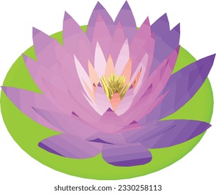 Graceful Blossoms: Embrace the Tranquility of Water Lilies.