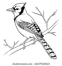 Graceful Blue Jay Silhouette - Elegant Silhouette of a Blue Jay Perched Gracefully on a Bare Branch