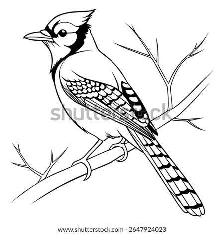 Graceful Blue Jay Silhouette - Elegant Silhouette of a Blue Jay Perched Gracefully on a Bare Branch