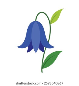 A graceful bluebell with delicate, bell-shaped flowers hangs from a slender green stem against a crisp white background. Its soft blue-violet petals curve gently, exuding an air of elegance.