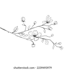 graceful branch with flowers in the style of hand drawing