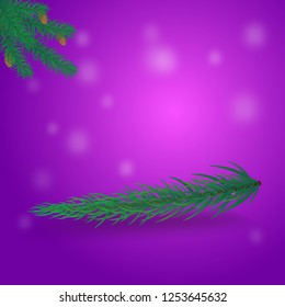 Graceful branch of spruce on a gradient background with snowflakes