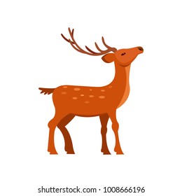 Graceful brown spotted deer with antlers, wild animal cartoon vector Illustration