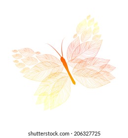 graceful butterfly leaf. Vector