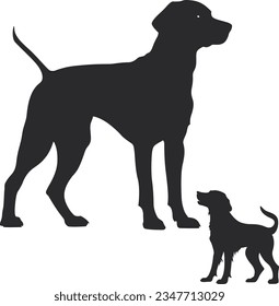 Graceful canine form captured in striking shadowplay – the essence of a dog's spirit embodied in a silhouette
