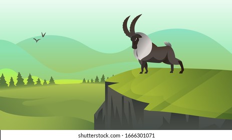 Graceful Capra Ibex, watching fields. Mountain goat with huge horns outdoors illustration.