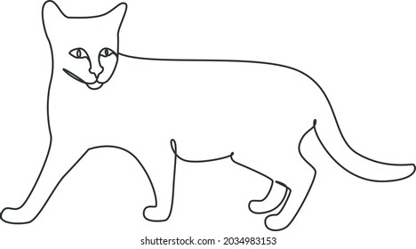A graceful cat with a smooth coat. Vector line art illustration.