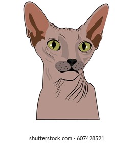 Graceful cat sphinx in vector