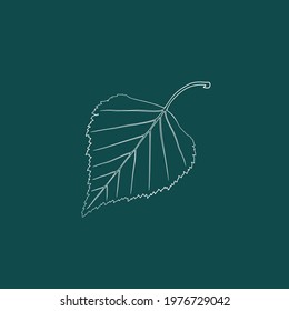 A graceful contoured birch leaf. Vector isolated element. White line logo on a green background. Garden plant.