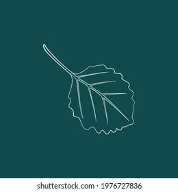 A graceful, contoured leaf. Vector isolated element. White line logo on a green background. Garden plant. Summer or spring design