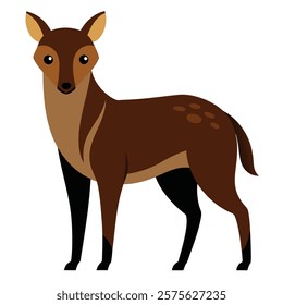 Graceful Deer Illustration on White Background
