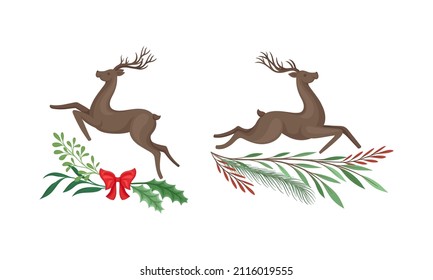 Graceful deers set, Christmas holidays design element with tree branches cartoon vector illustration