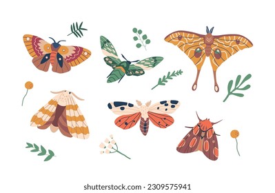 Graceful And Delicate, Butterflies Are Vibrant Insects That Captivate With Their Colorful Wings And Whimsical Flight