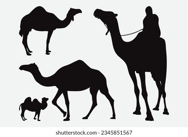 Graceful Desert Nomad, Majestic Camel Silhouettes in High-Quality Vector Illustrations