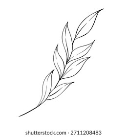 Graceful and Elegant Leaf Branch Drawn in Fine Lines Showcases a Series of Elongated Leaves