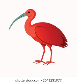 Graceful, exotic, and drenched in fiery red, the Scarlet Ibis  is one of the most striking birds found in the Americas. Native to tropical South America and the Caribbean, this elegant