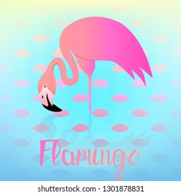 Graceful flamingo bent over the water. Vector illustration