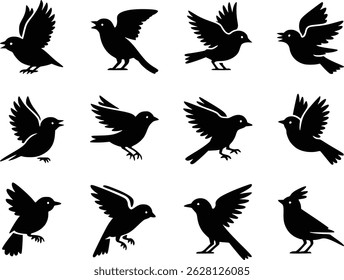 Graceful Flight Dynamic Feathered Friends Bird Wildlife Silhouette Vector Glyph Icons