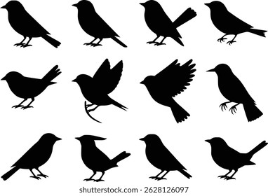 Graceful Flight Dynamic Feathered Friends Bird Wildlife Silhouette Vector Glyph Icons