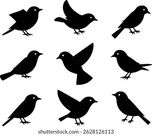 Graceful Flight Dynamic Feathered Friends Bird Wildlife Silhouette Vector Glyph Icons
