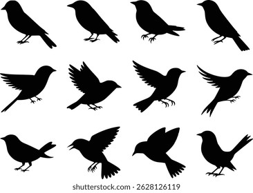 Graceful Flight Dynamic Feathered Friends Bird Wildlife Silhouette Vector Glyph Icons