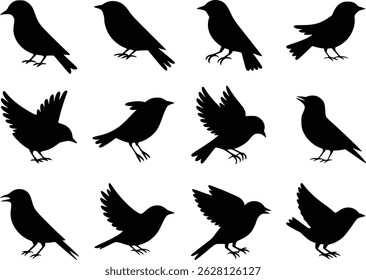 Graceful Flight Dynamic Feathered Friends Bird Wildlife Silhouette Vector Glyph Icons