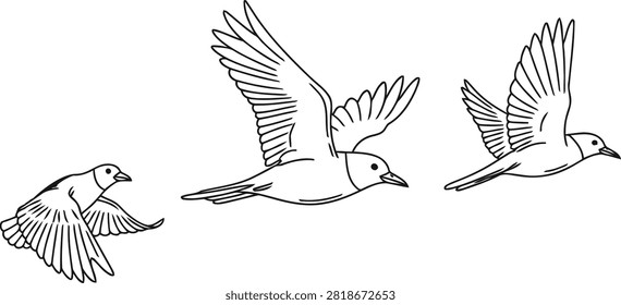 Graceful flight of five ducks in a synchronized pattern against a plain background