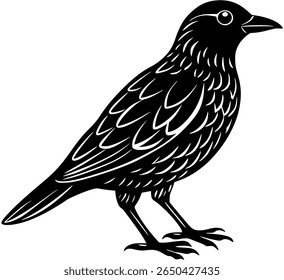 Graceful flying bird silhouette vector in minimalist style. A symbol of freedom, hope, and nature—perfect for logos, branding, web use, and spiritual design themes.