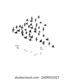 Graceful flying birds in motion across the sky, symbolizing freedom, peace, unity, nature, movement, and aspiration.